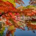 Cảnh ngoài trời