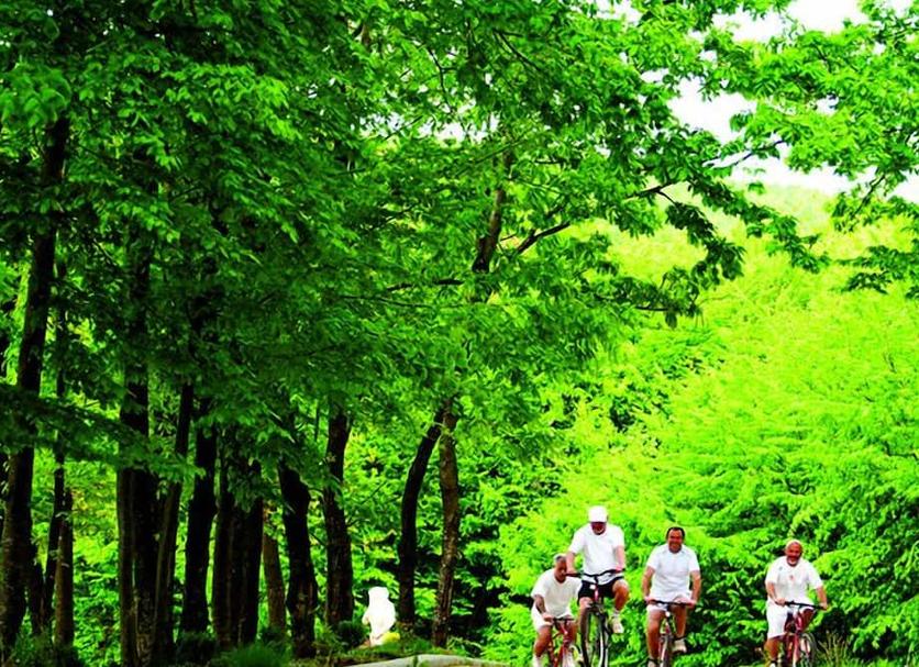 Cảnh ngoài trời Ảnh