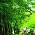 Cảnh ngoài trời
