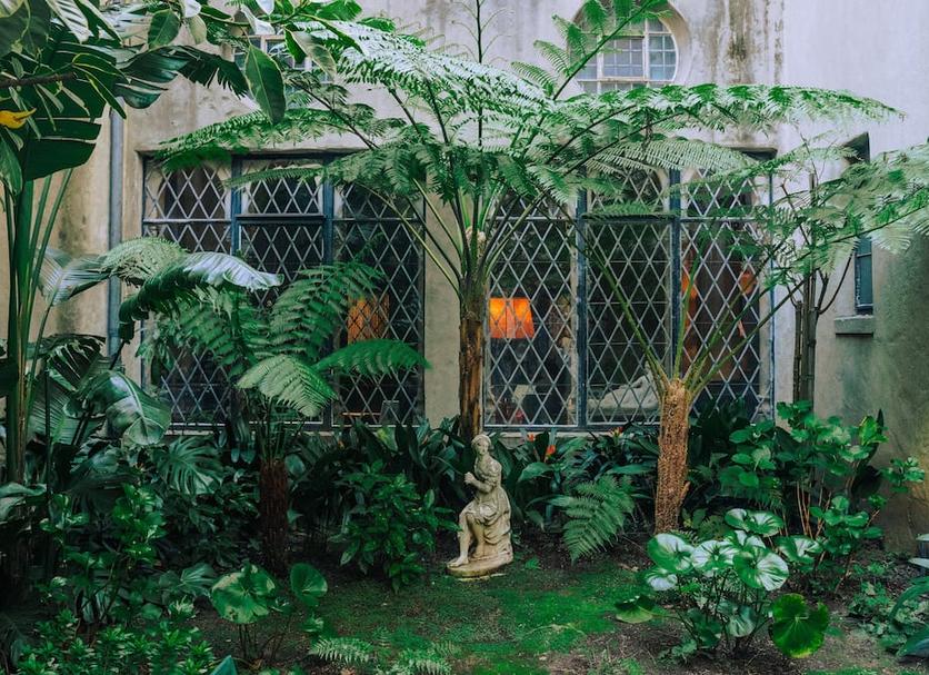 Cảnh ngoài trời Ảnh