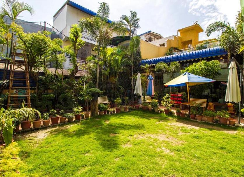 Cảnh ngoài trời Ảnh