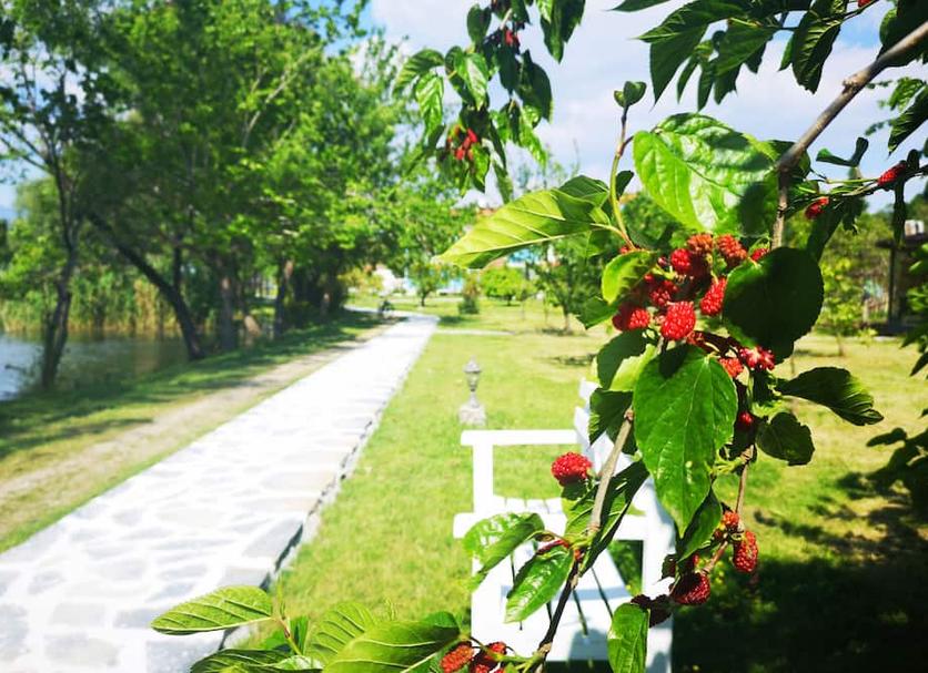 Cảnh ngoài trời Ảnh