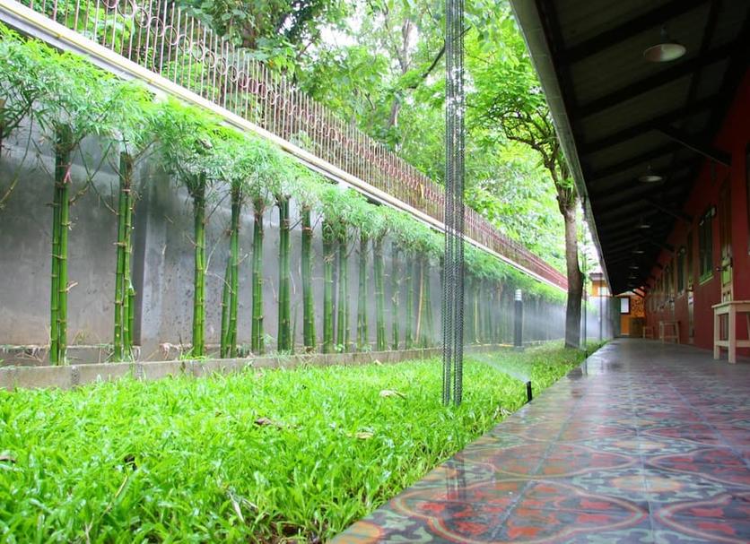 Cảnh ngoài trời Ảnh