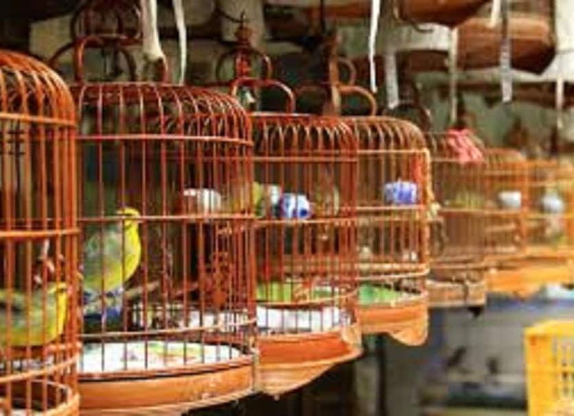 Điểm du lịch Ảnh