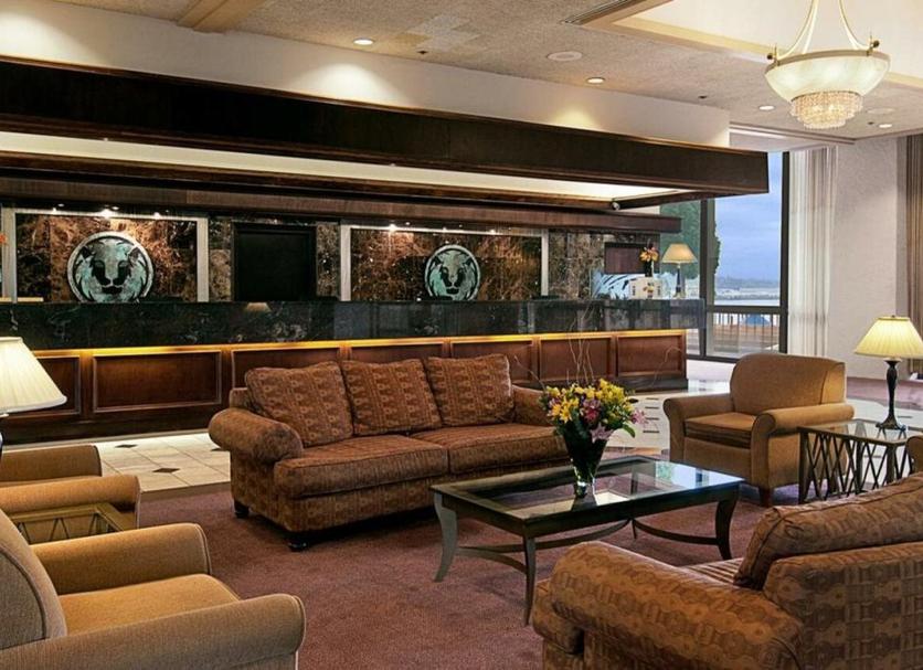 Lounge Ảnh