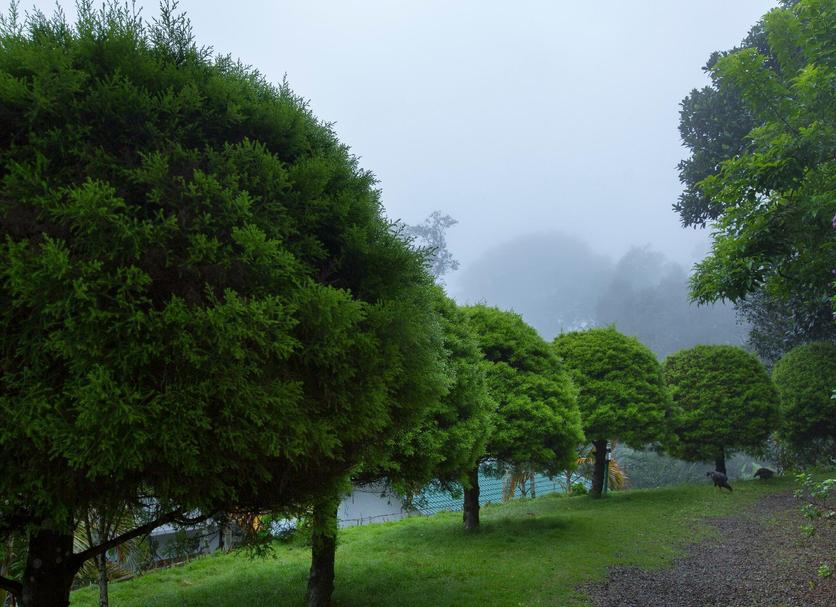 Cảnh ngoài trời Ảnh