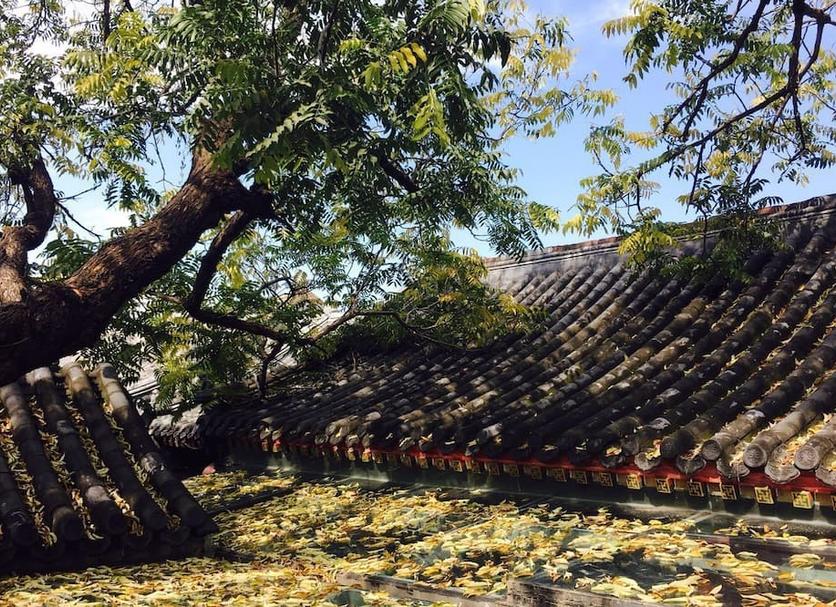 Cảnh ngoài trời Ảnh