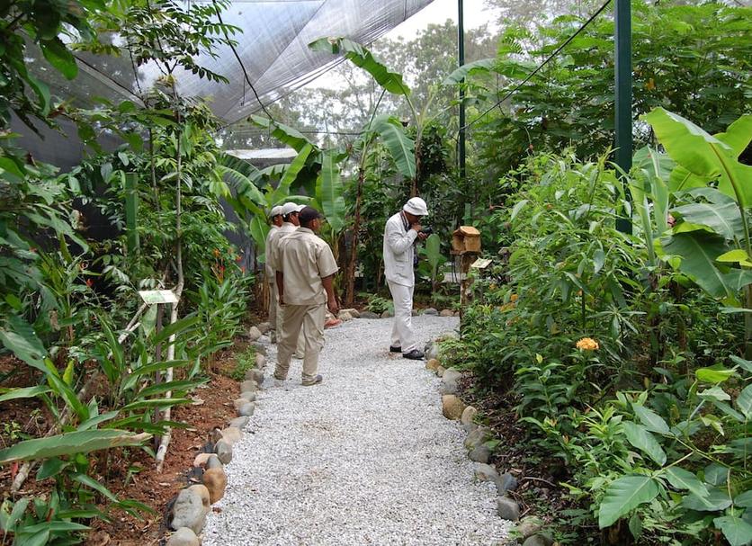 Cảnh ngoài trời Ảnh