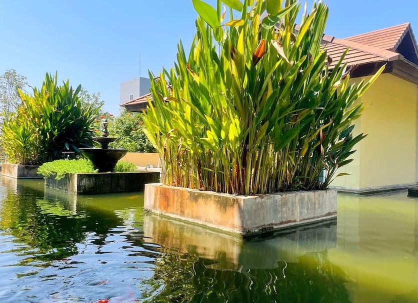 Cảnh ngoài trời Ảnh