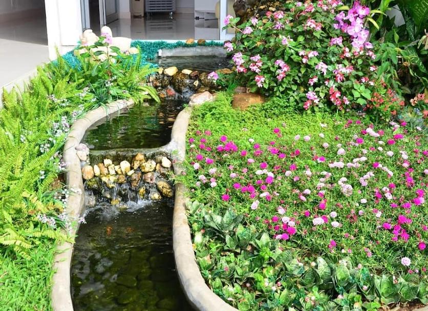 Cảnh ngoài trời Ảnh