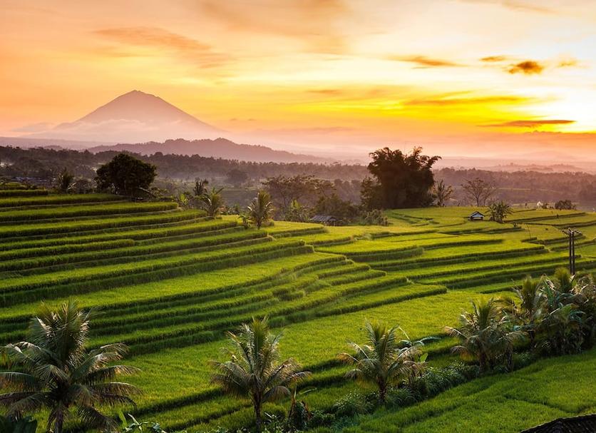 Cảnh ngoài trời Ảnh