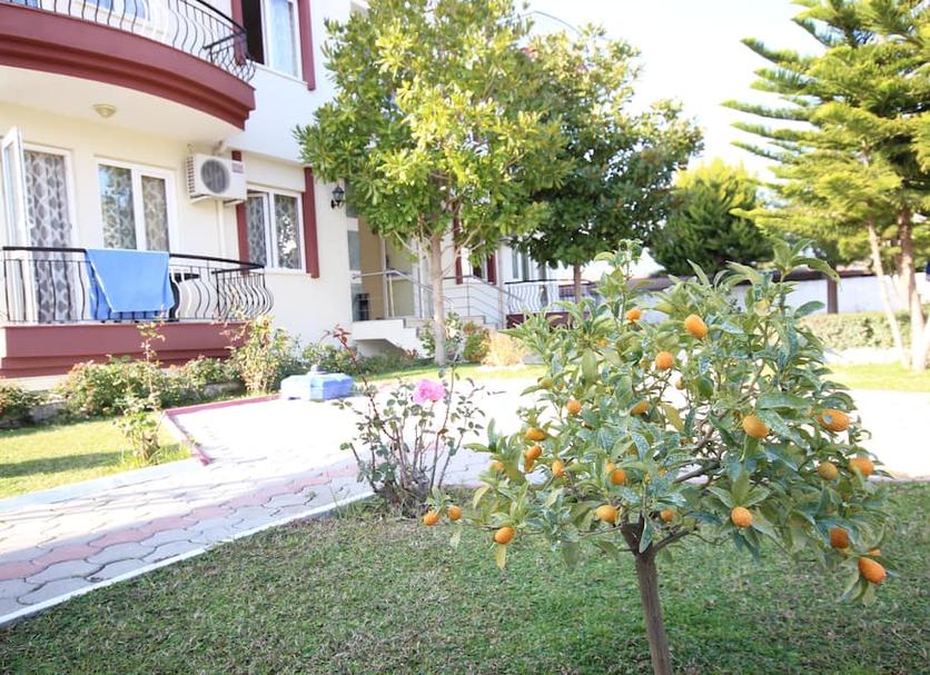 Cảnh ngoài trời Ảnh