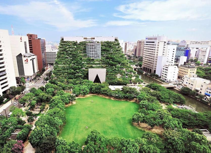 Cảnh ngoài trời Ảnh