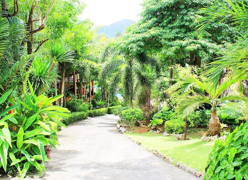 Cảnh ngoài trời Ảnh