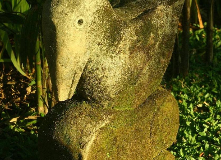 Khác Ảnh