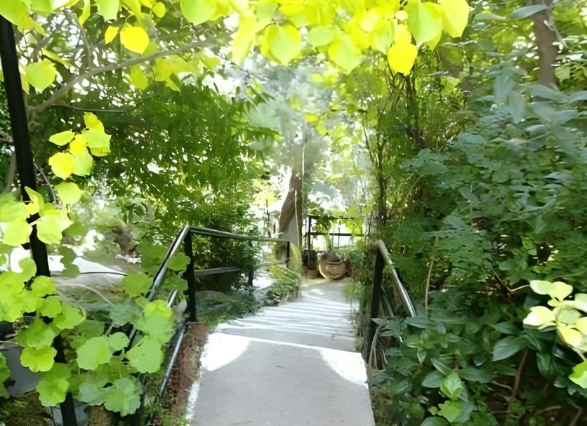 Cảnh ngoài trời Ảnh