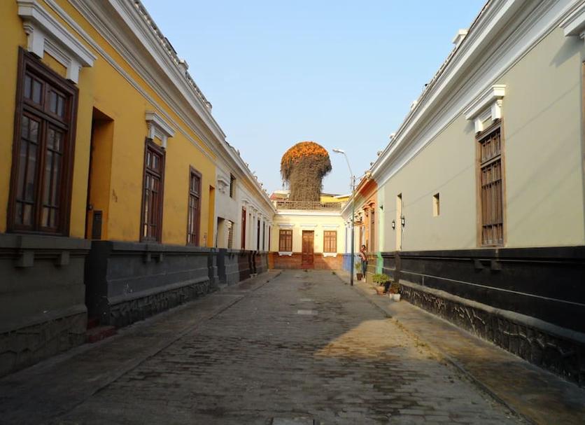 Cảnh ngoài trời Ảnh