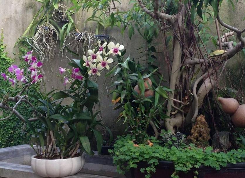 Cảnh ngoài trời Ảnh