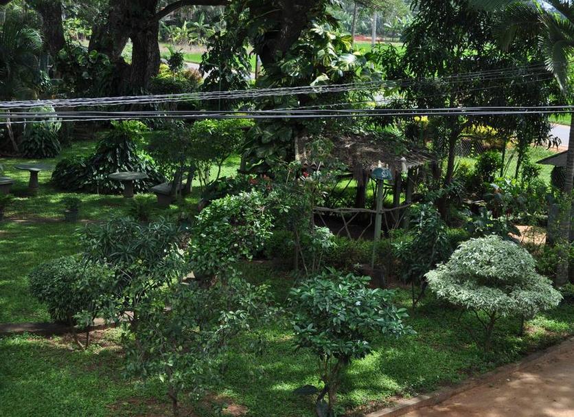 Cảnh ngoài trời Ảnh