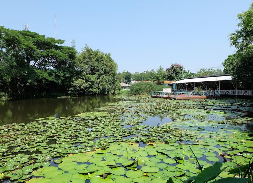 Cảnh ngoài trời Ảnh