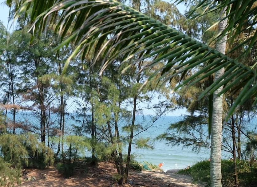 Cảnh ngoài trời Ảnh