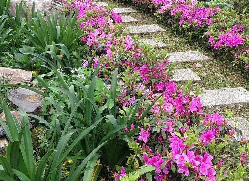 Cảnh ngoài trời Ảnh