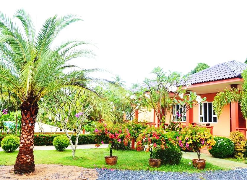 Cảnh ngoài trời Ảnh