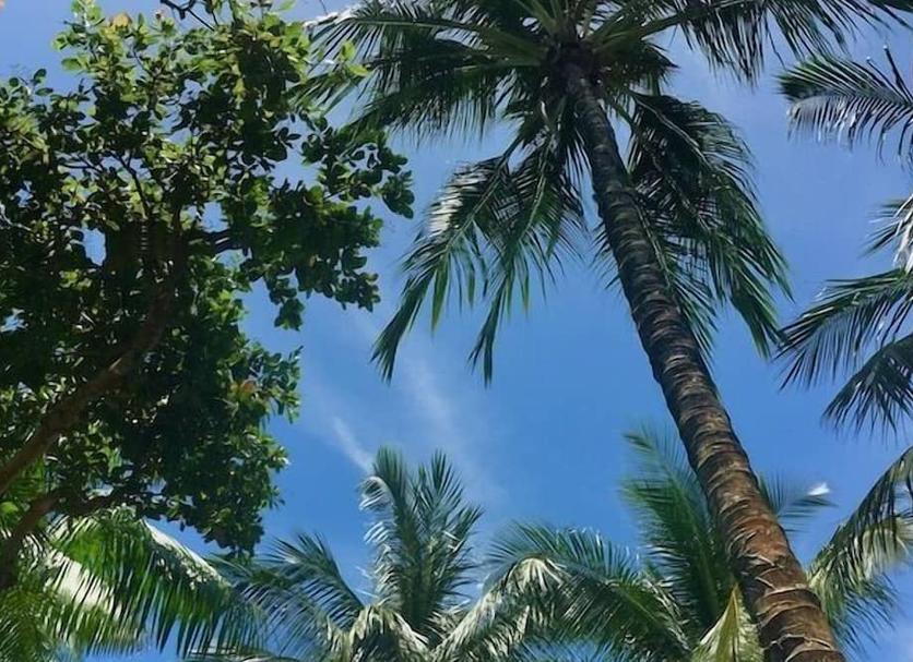 Cảnh ngoài trời Ảnh