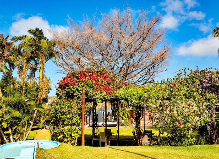 Cảnh ngoài trời Ảnh