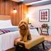 Hotel amenity