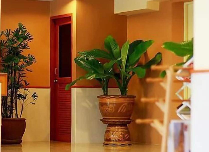 Tiện nghi trong phòng Ảnh