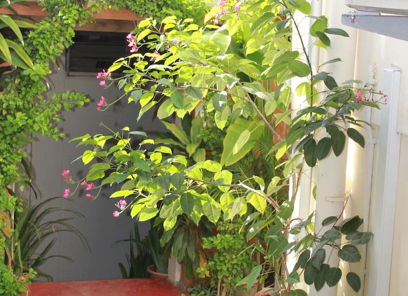 Cảnh ngoài trời Ảnh