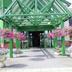 Cảnh ngoài trời