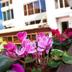 Cảnh ngoài trời