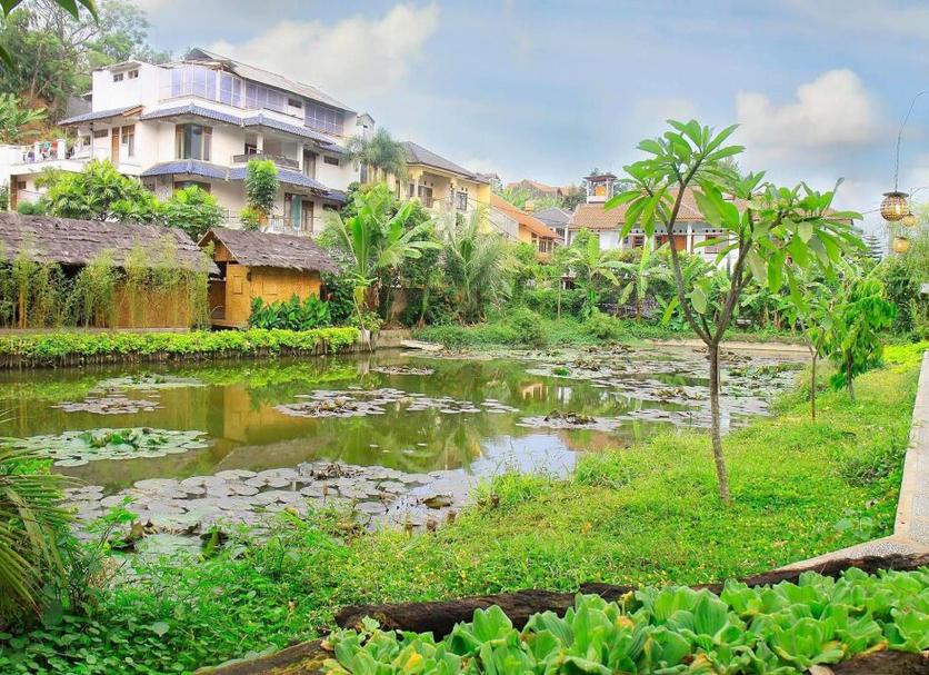 Cảnh ngoài trời Ảnh