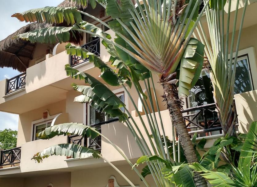 Cảnh ngoài trời Ảnh
