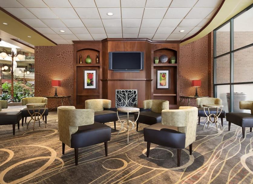 Lounge Ảnh