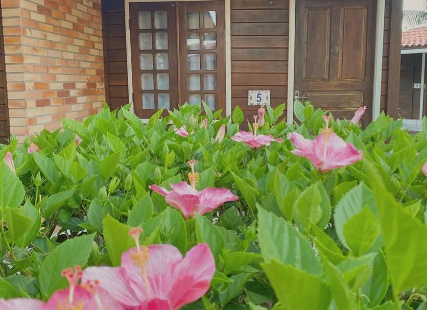 Cảnh ngoài trời Ảnh