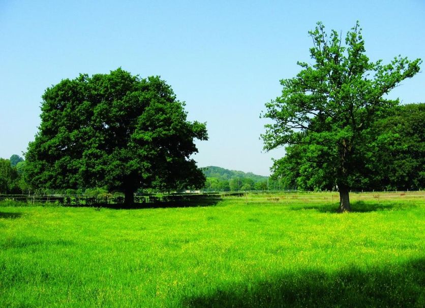 Cảnh ngoài trời Ảnh