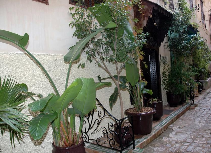 Cảnh ngoài trời Ảnh