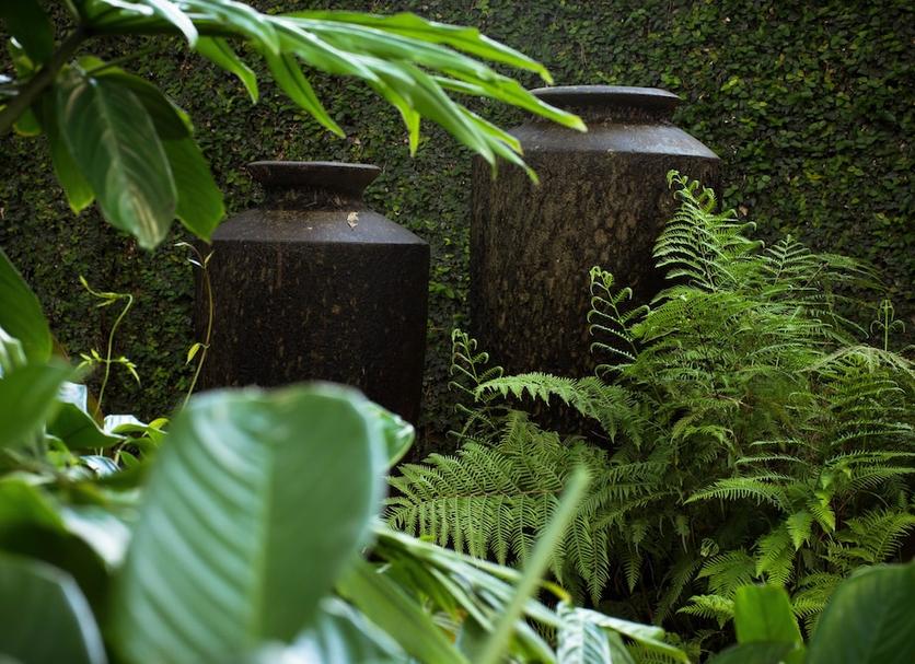 Cảnh ngoài trời Ảnh