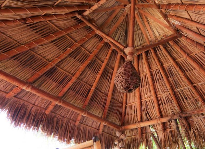 Khác Ảnh