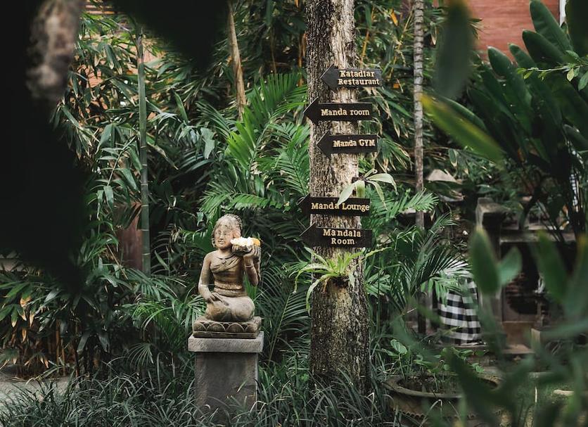Cảnh ngoài trời Ảnh