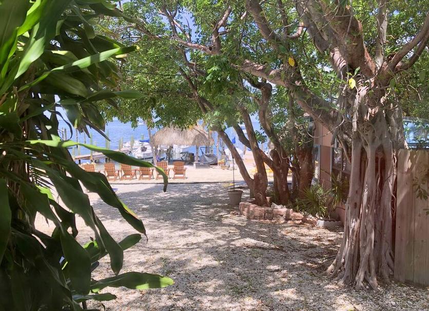 Cảnh ngoài trời Ảnh