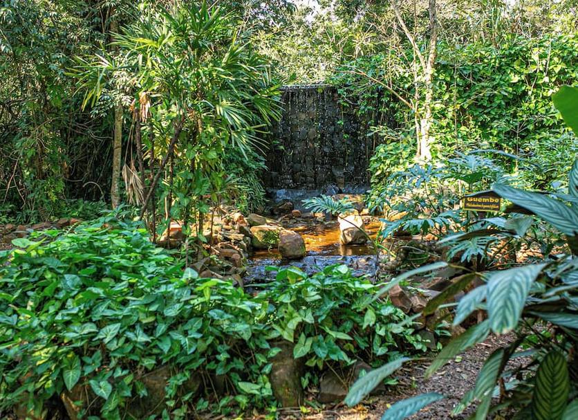 Cảnh ngoài trời Ảnh