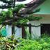Cảnh ngoài trời