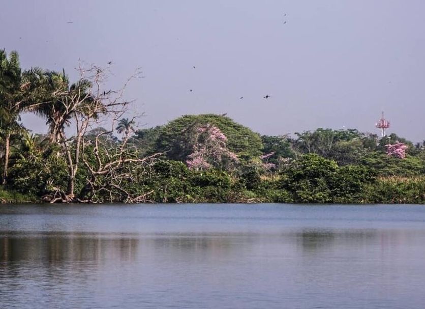 Cảnh ngoài trời Ảnh