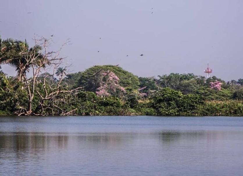 Khác Ảnh