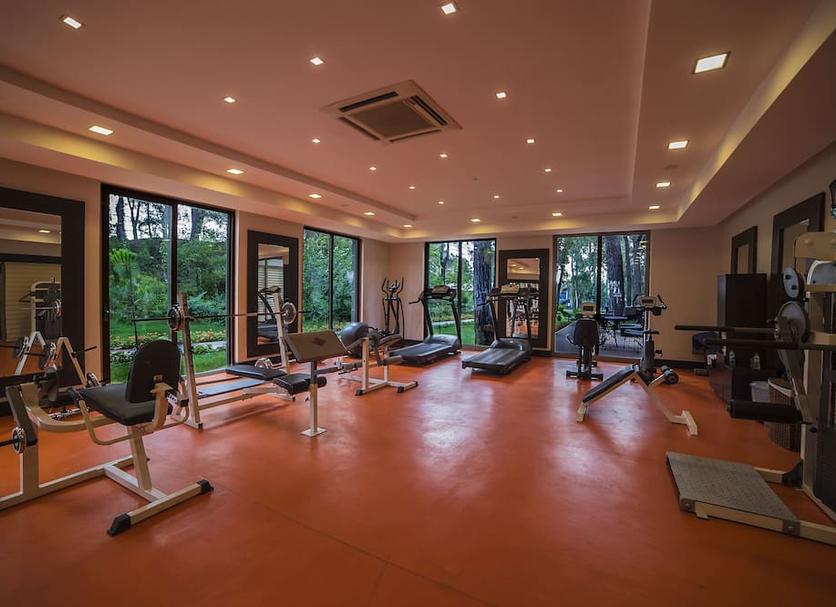 Gym Ảnh