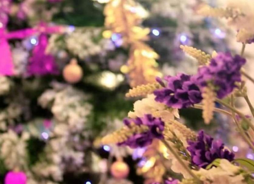 Cảnh ngoài trời Ảnh